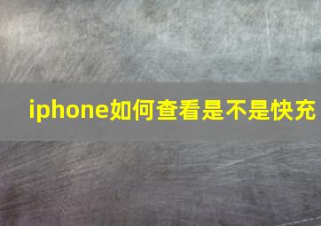 iphone如何查看是不是快充