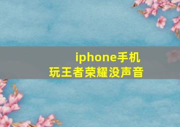 iphone手机玩王者荣耀没声音