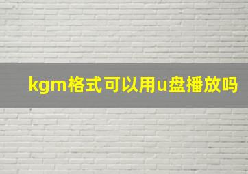 kgm格式可以用u盘播放吗