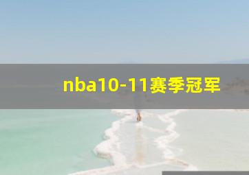 nba10-11赛季冠军