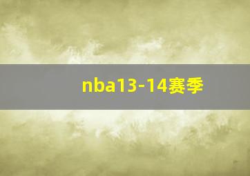 nba13-14赛季