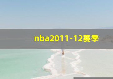 nba2011-12赛季