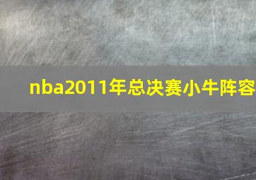 nba2011年总决赛小牛阵容