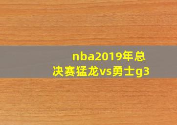 nba2019年总决赛猛龙vs勇士g3