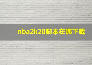 nba2k20脚本在哪下载