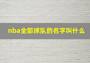 nba全部球队的名字叫什么