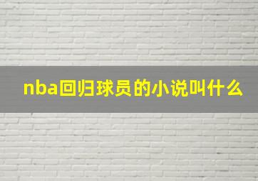 nba回归球员的小说叫什么