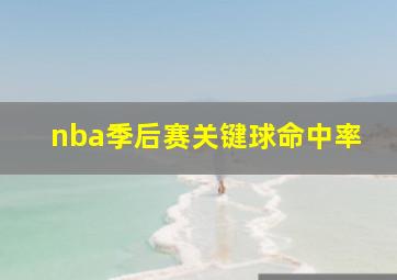 nba季后赛关键球命中率