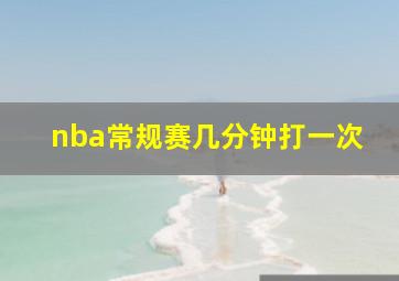 nba常规赛几分钟打一次