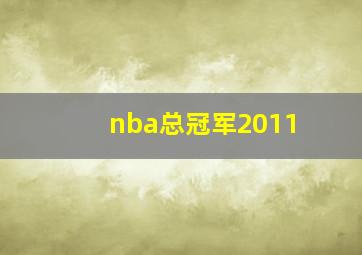 nba总冠军2011