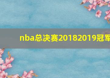 nba总决赛20182019冠军