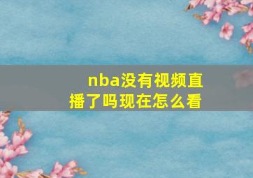 nba没有视频直播了吗现在怎么看