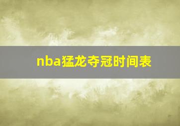 nba猛龙夺冠时间表