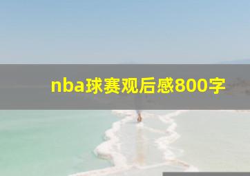 nba球赛观后感800字