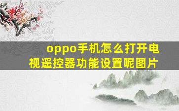 oppo手机怎么打开电视遥控器功能设置呢图片