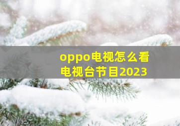 oppo电视怎么看电视台节目2023