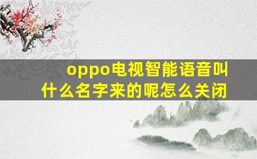 oppo电视智能语音叫什么名字来的呢怎么关闭