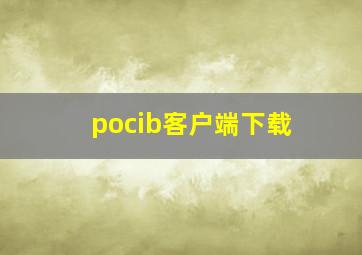 pocib客户端下载