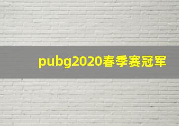 pubg2020春季赛冠军