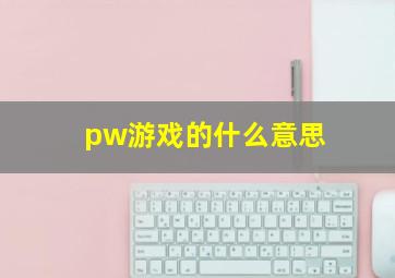 pw游戏的什么意思