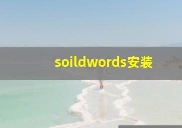 soildwords安装