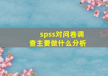 spss对问卷调查主要做什么分析