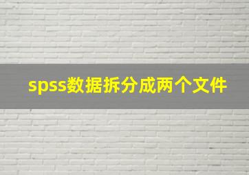 spss数据拆分成两个文件