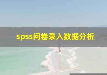 spss问卷录入数据分析