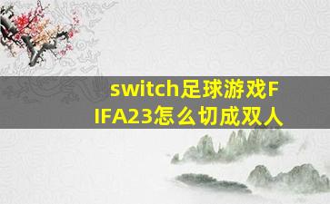 switch足球游戏FIFA23怎么切成双人