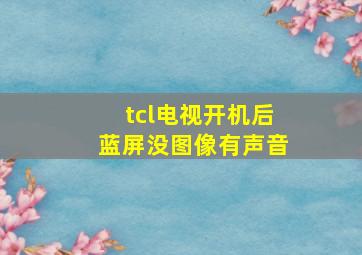 tcl电视开机后蓝屏没图像有声音