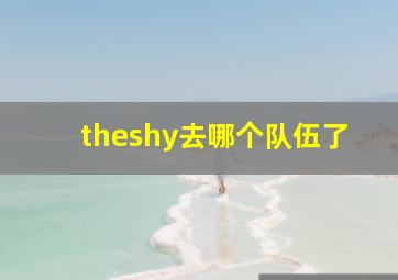 theshy去哪个队伍了