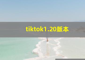 tiktok1.20版本