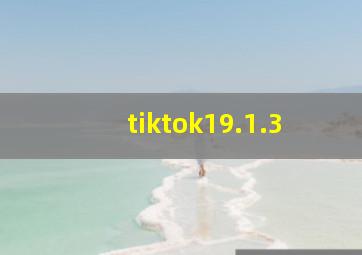 tiktok19.1.3