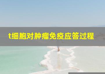 t细胞对肿瘤免疫应答过程