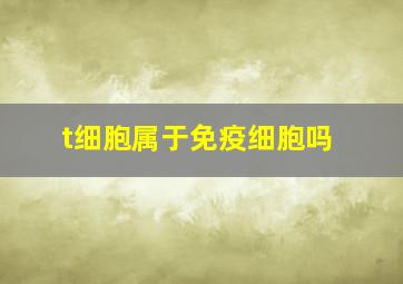 t细胞属于免疫细胞吗