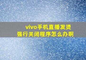 vivo手机直播发烫强行关闭程序怎么办啊