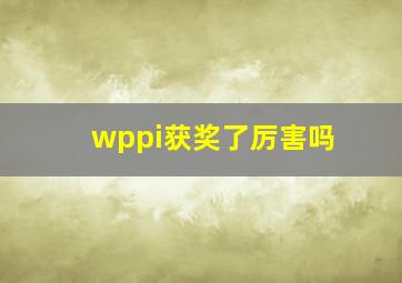 wppi获奖了厉害吗