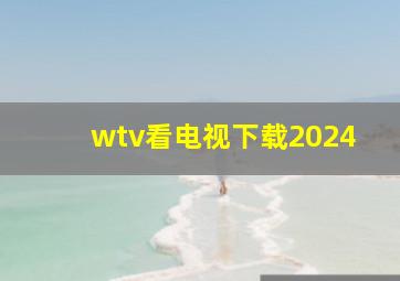 wtv看电视下载2024