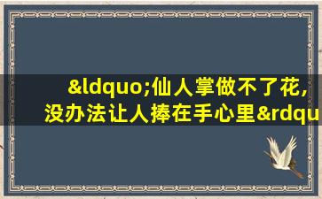 “仙人掌做不了花,没办法让人捧在手心里”