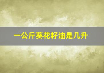 一公斤葵花籽油是几升