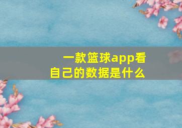 一款篮球app看自己的数据是什么