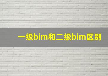 一级bim和二级bim区别