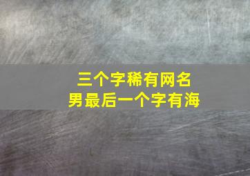 三个字稀有网名男最后一个字有海