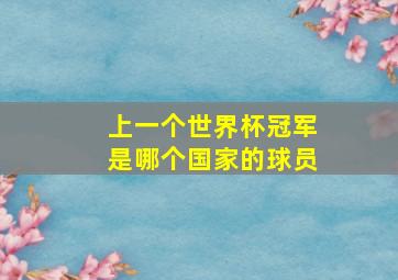 上一个世界杯冠军是哪个国家的球员