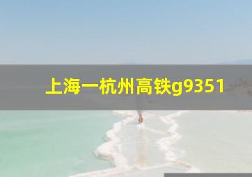 上海一杭州高铁g9351