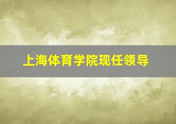 上海体育学院现任领导