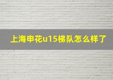 上海申花u15梯队怎么样了