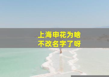 上海申花为啥不改名字了呀