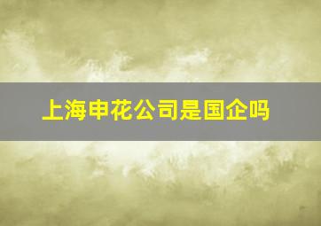 上海申花公司是国企吗