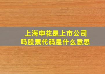 上海申花是上市公司吗股票代码是什么意思